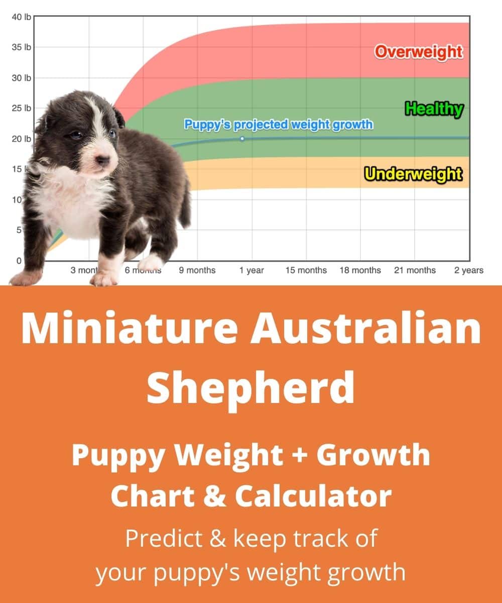 Mini Aussie Growth Chart